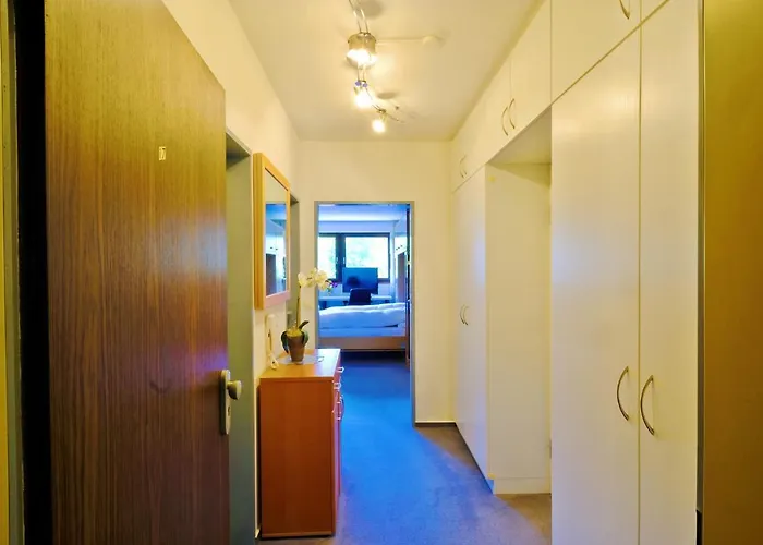 Goski & Gobike Netflix And Waiputv Free Apartman Winterberg