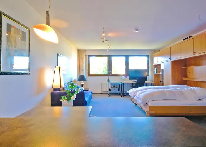 Goski & Gobike Netflix And Waiputv Free Apartman Winterberg